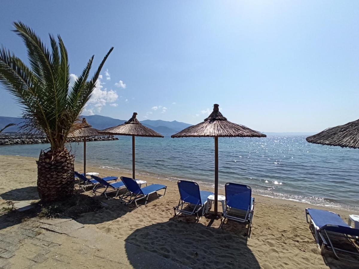 Ferienwohnung Λευκό Γιασεμί - Νέες Παγασές Βόλος Kritharia  Exterior foto